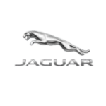 Untitled design (17)